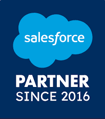 Salesforce Partner